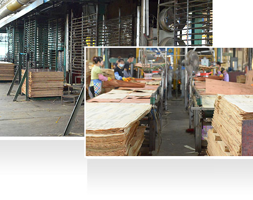 —30年耕耘，實力深厚