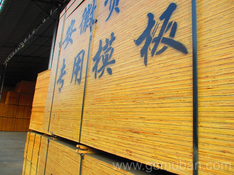 建筑木模板多少一張？價格貴不貴